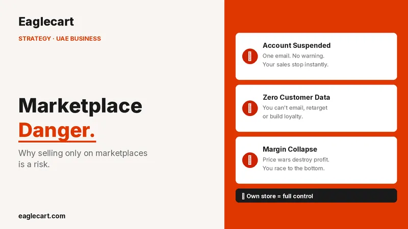 Why Selling Only on Marketplaces is Dangerous in UAE