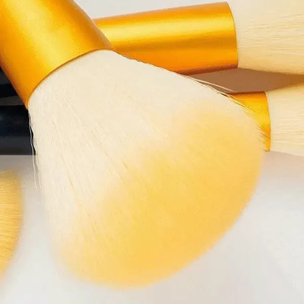 12Pcs Blue Star Makeup Brush Set with Case