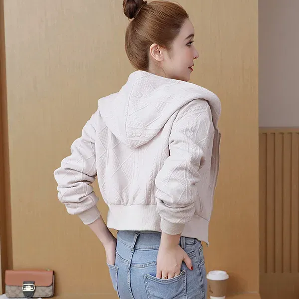 Winter Casual Wear Hoodie Zip-Up Quilted Jacket For Women