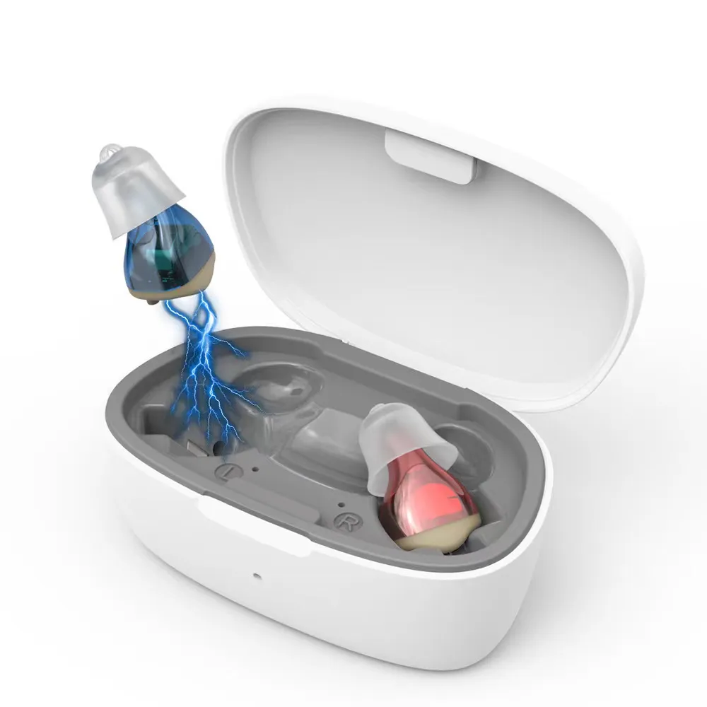 Hearing aid