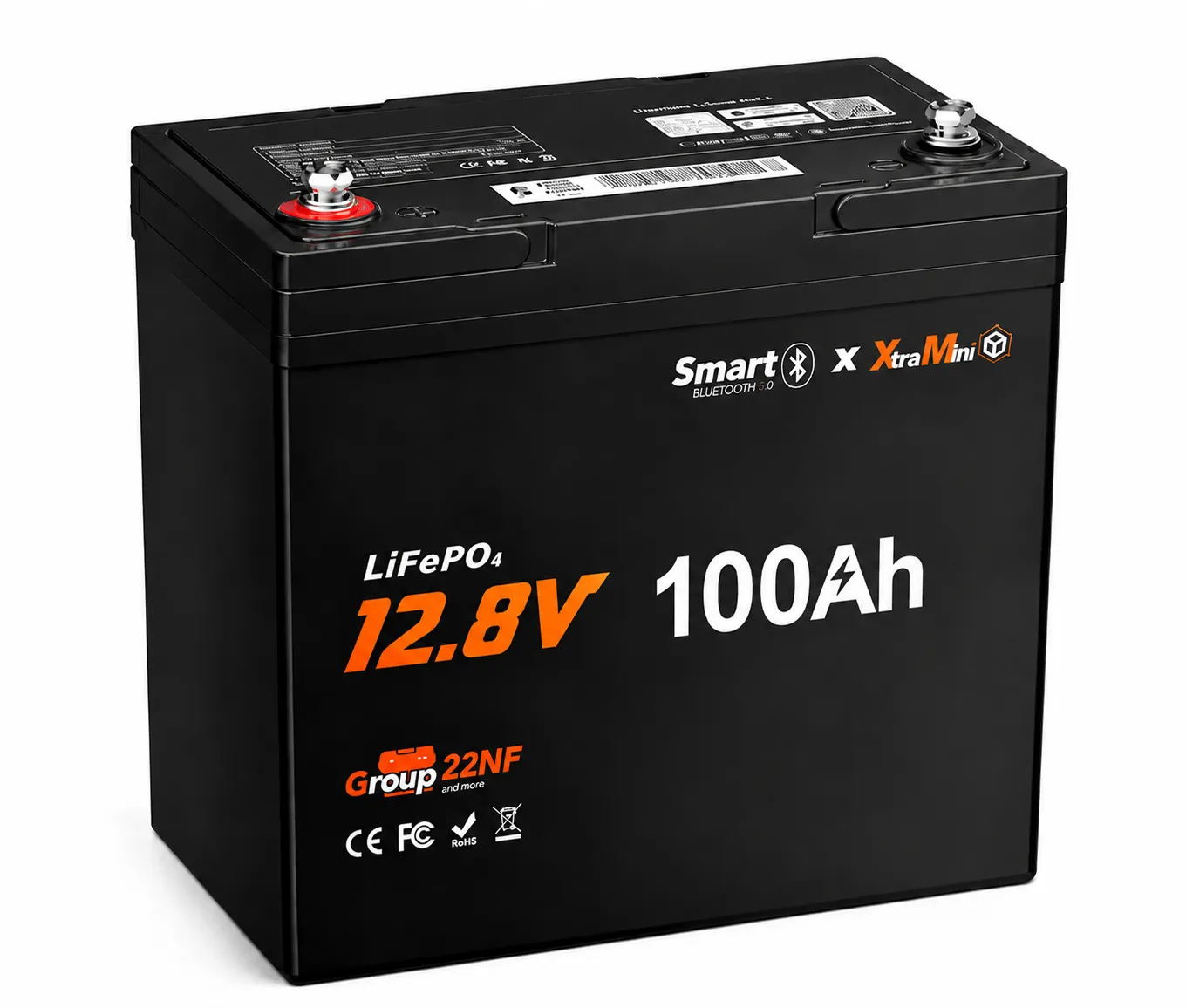 12V 100Ah Mini LiFePO4 RV Battery with Bluetooth & Smart BMS