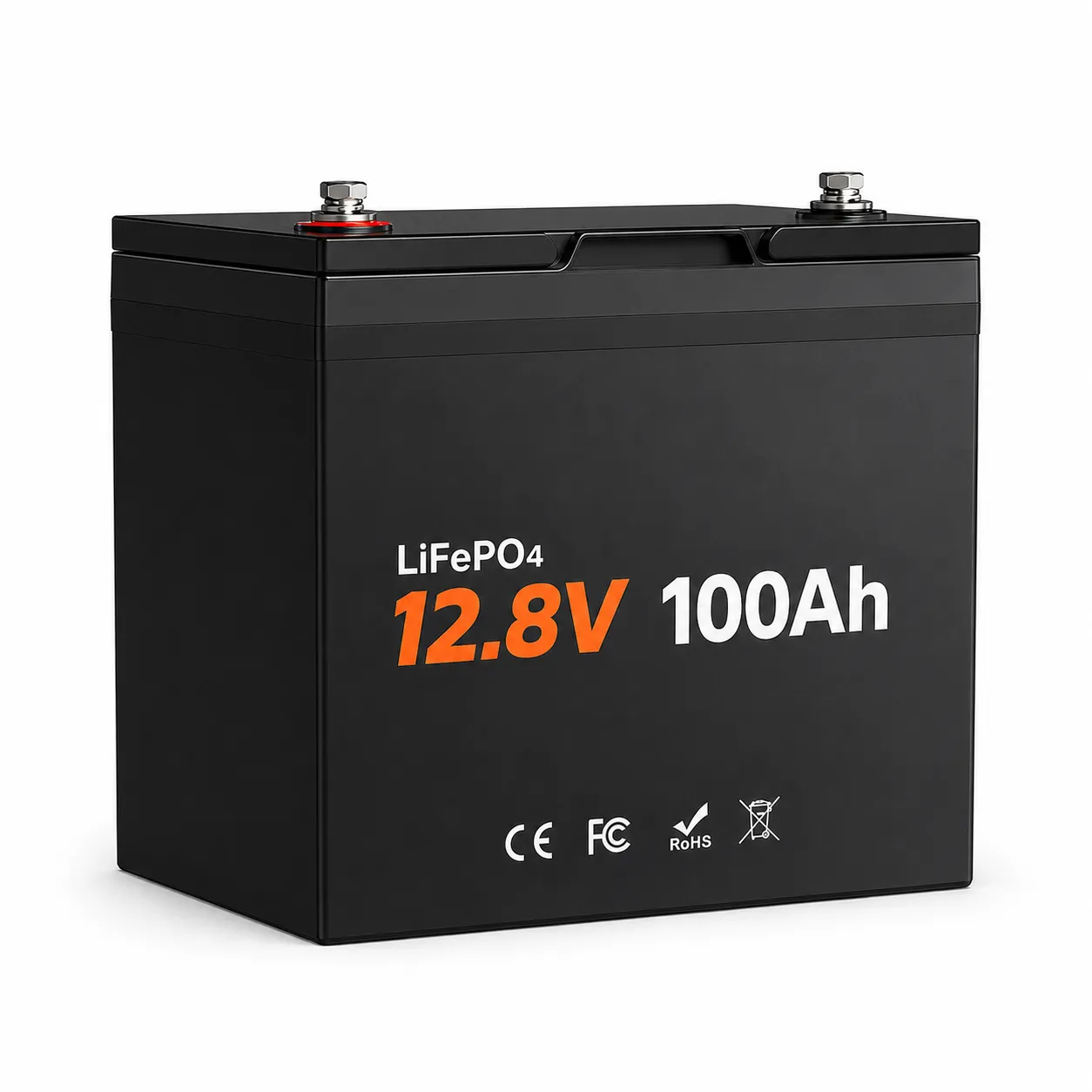 12V 100Ah Group 24 Self-Heating LiFePO4 Battery with Bluetooth