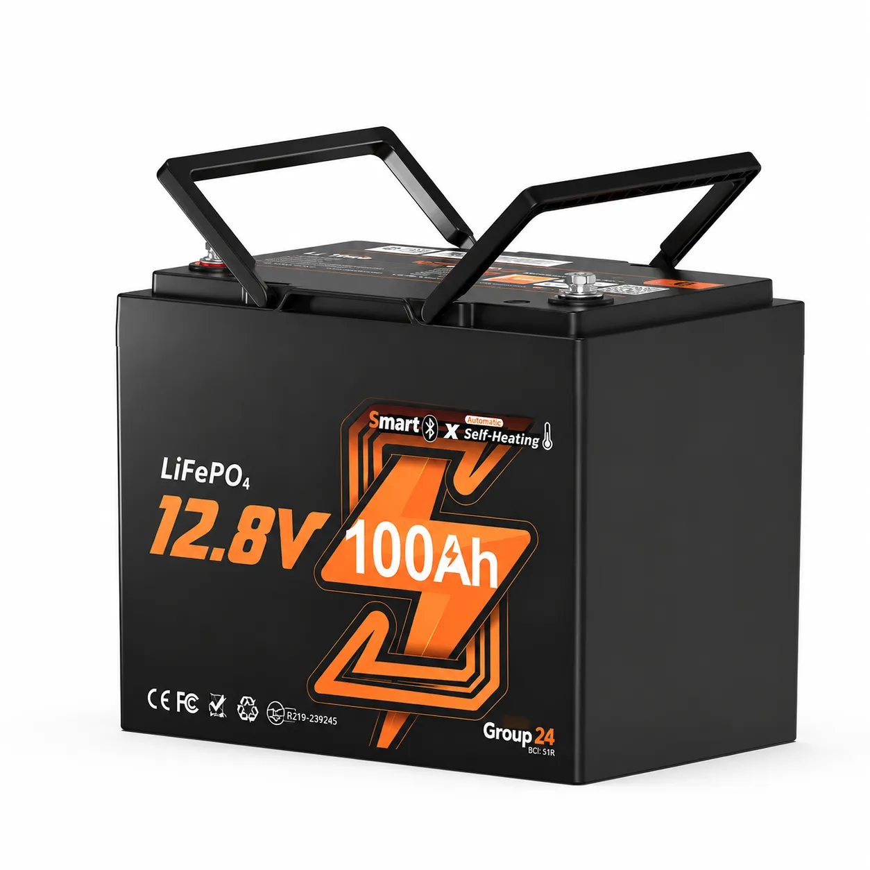 12V 100Ah Mini LiFePO4 RV Battery with Bluetooth & Smart BMS - BST