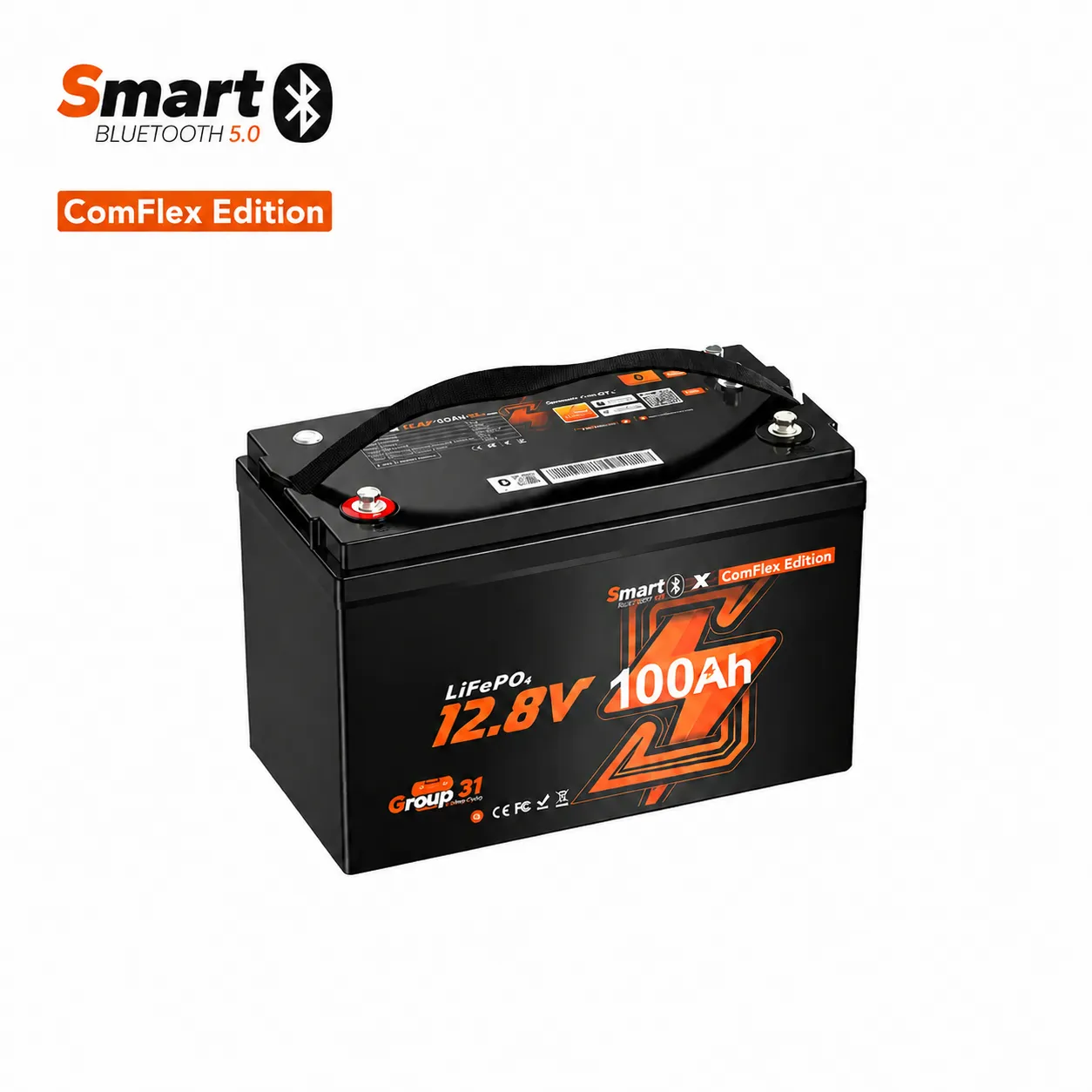 12V 100Ah Mini LiFePO4 RV Battery with Bluetooth & Smart BMS - BST