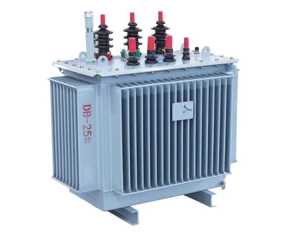 100 kVA Three Phase Oil Immersed Step Down Distribution Transformer