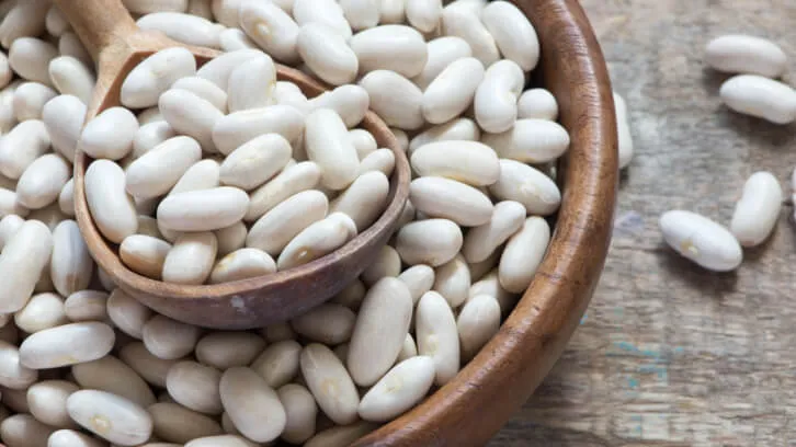white kidney bean