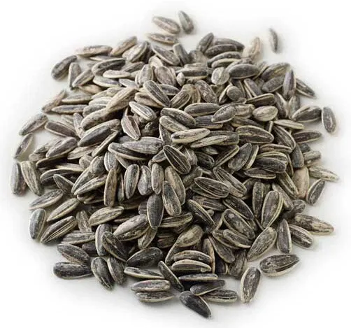Roasted and Salted Sunflower Seeds