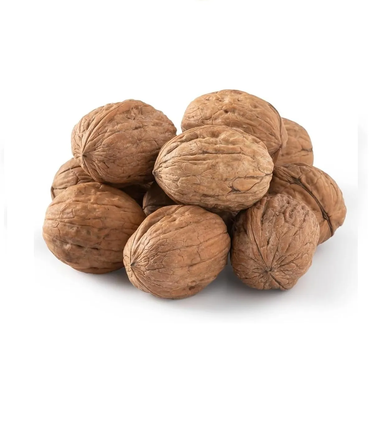 Premium Walnut Kernels