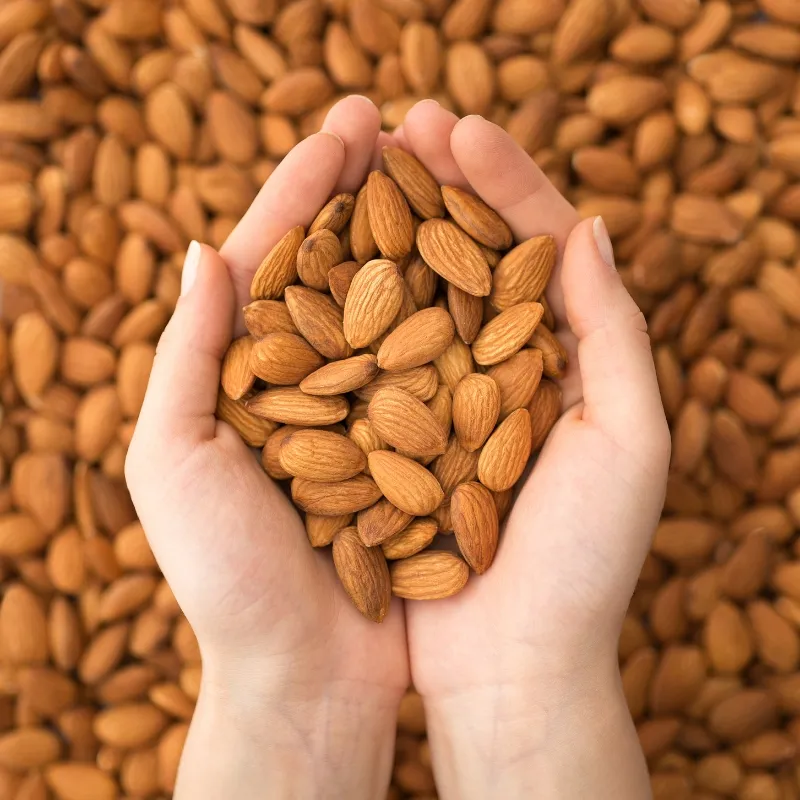 Premium Whole Almonds (Raw & Natural)