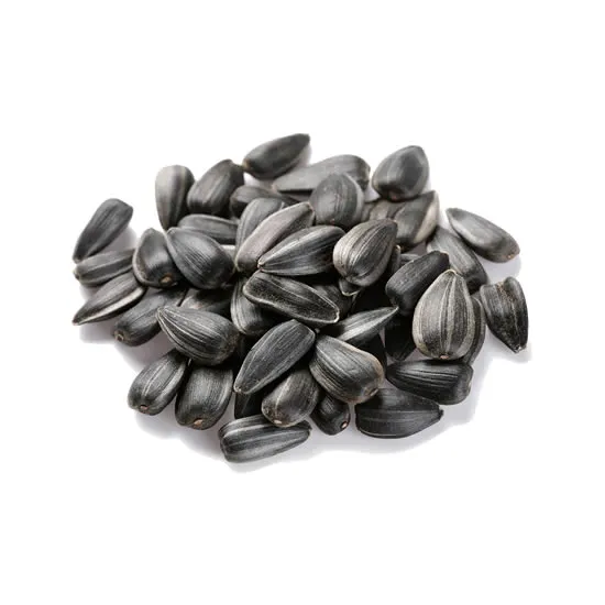 Premium Sunflower Seeds (Raw Kernels)