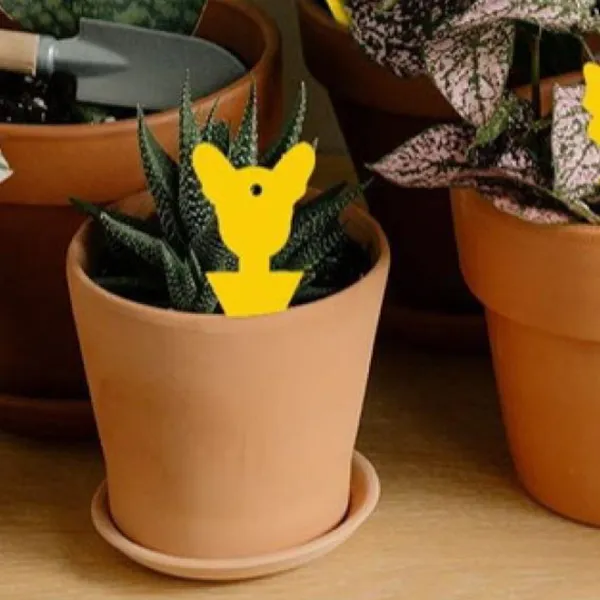 10pcs Yellow Insect and Flower Shaped Plant Stakes