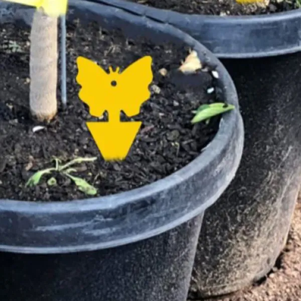 10pcs Yellow Insect and Flower Shaped Plant Stakes