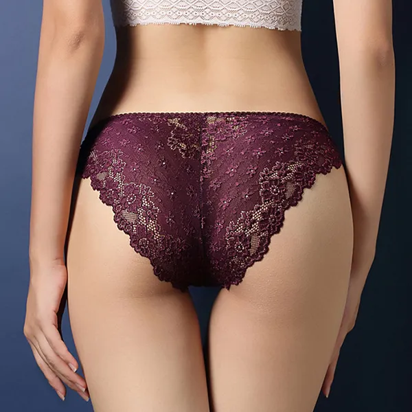 Floral Lace Embroidered Texture Frill Transparent Hipster Panty For Women