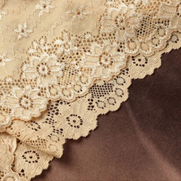 Floral Lace Embroidered Texture Frill Transparent Hipster Panty For Women