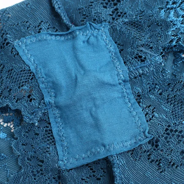 Floral Lace Embroidered Texture Frill Transparent Hipster Panty For Women