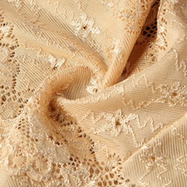 Floral Lace Embroidered Texture Frill Transparent Hipster Panty For Women