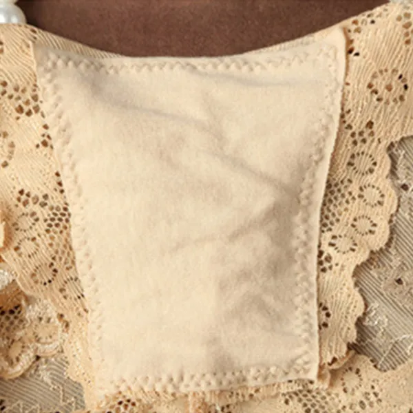 Floral Lace Embroidered Texture Frill Transparent Hipster Panty For Women