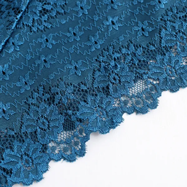 Floral Lace Embroidered Texture Frill Transparent Hipster Panty For Women