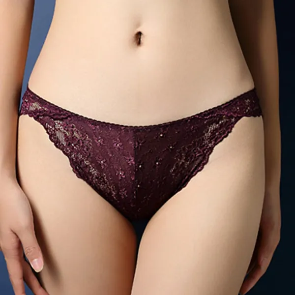 Floral Lace Embroidered Texture Frill Transparent Hipster Panty For Women