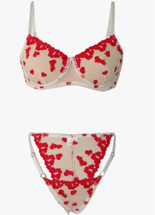 Women Sheer Underwear And Bra Set Hot Nightwear