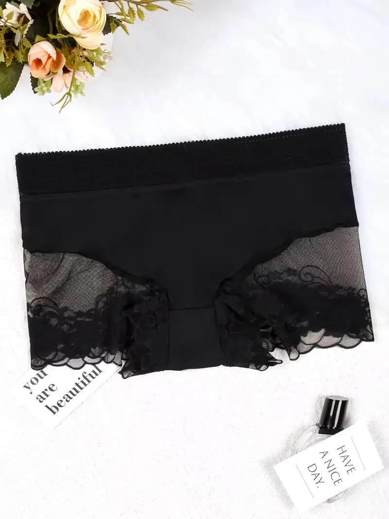 sheer lace mesh briefs for nightwear