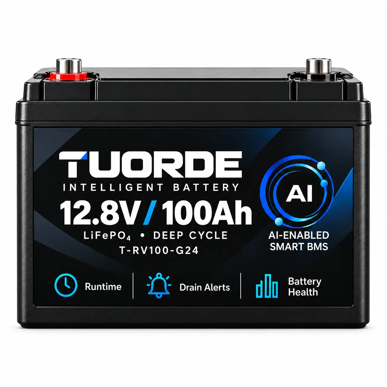 12V 100Ah Group 24 Smart LiFePO4 RV Battery