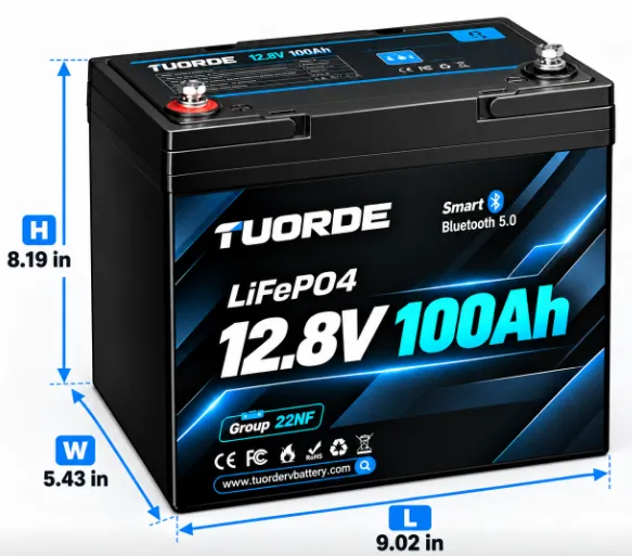 12V 100Ah Mini Group 22NF Bluetooth LiFePO4 Battery