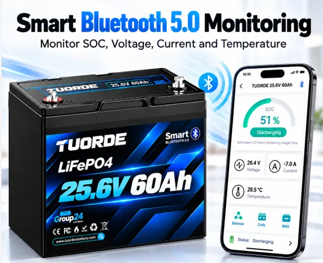 24V 60Ah Group 24 Bluetooth LiFePO4 Trolling Motor Battery