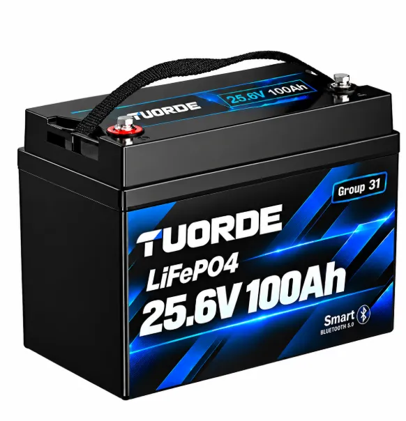 24V 100Ah Group 31 Bluetooth LiFePO4 RV Battery