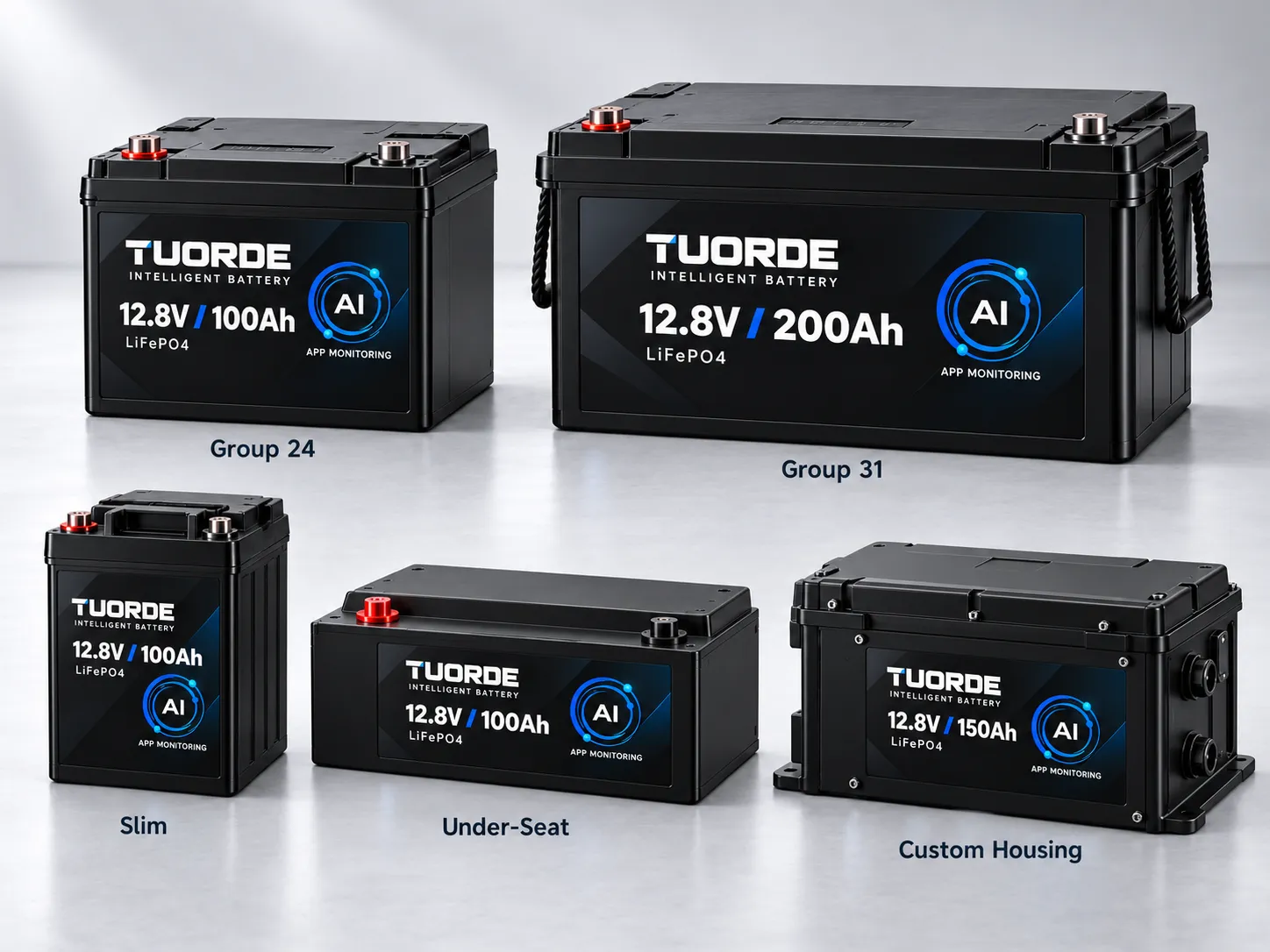 RV Battery Platform Customization For LiFePO4 OEM Solutions | TUORDE TUORDE RV battery platform customization showing Group 24, Group 31, Slim, Under-Seat and custom housing LiFePO4 battery designs