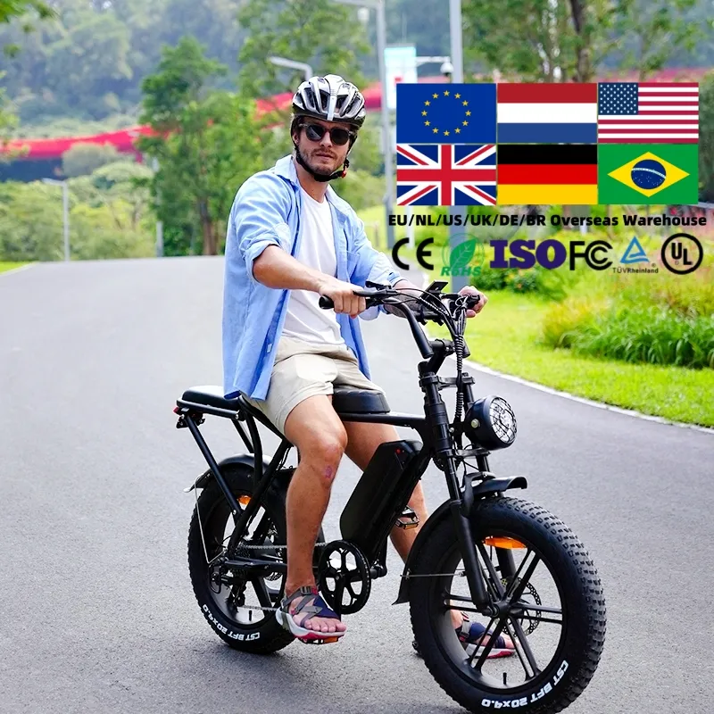 OUXI V8 Electric Fatbike 20 inch Off-Road Retro Cruiser  48V Removable Battery