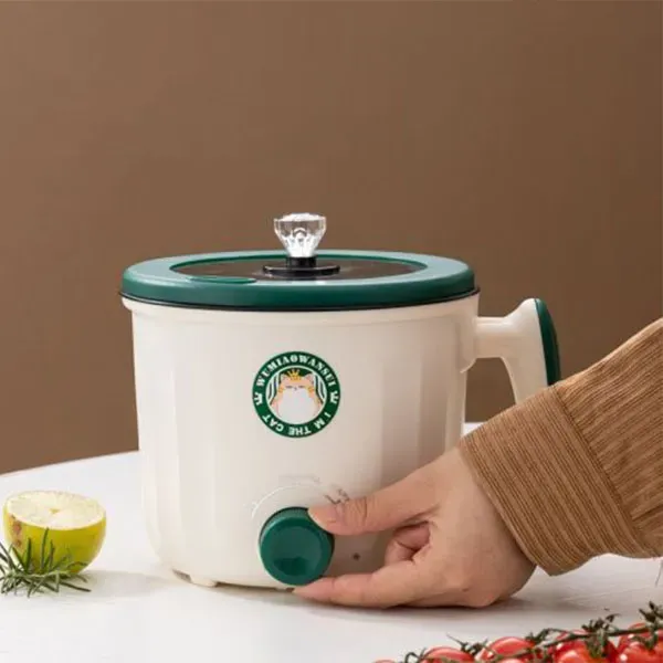 Electric Cooker Double Layer Cooking Pot Multifunctional Rice Noodles Eggs Boiler
