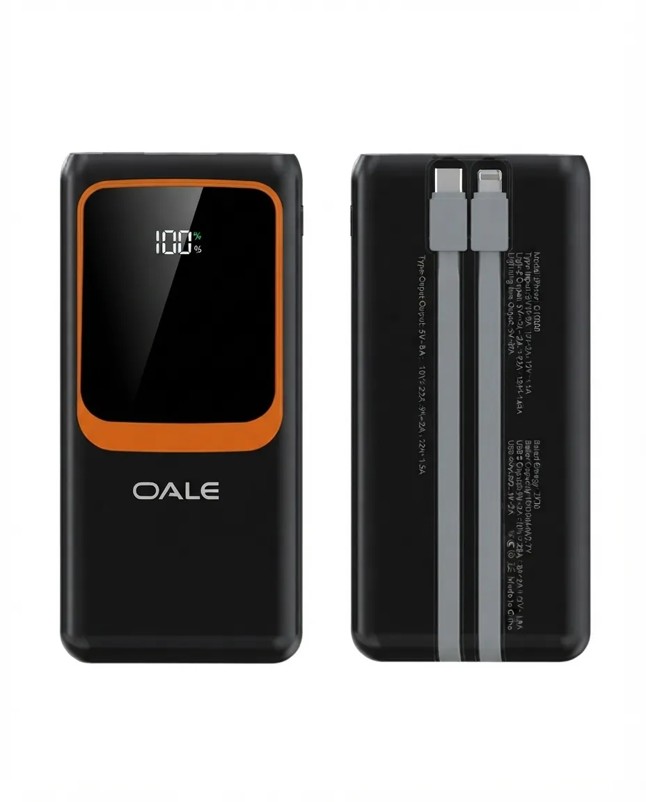 Power Bank Fast Phone Charging With Dual USB  Cable & Digital Display